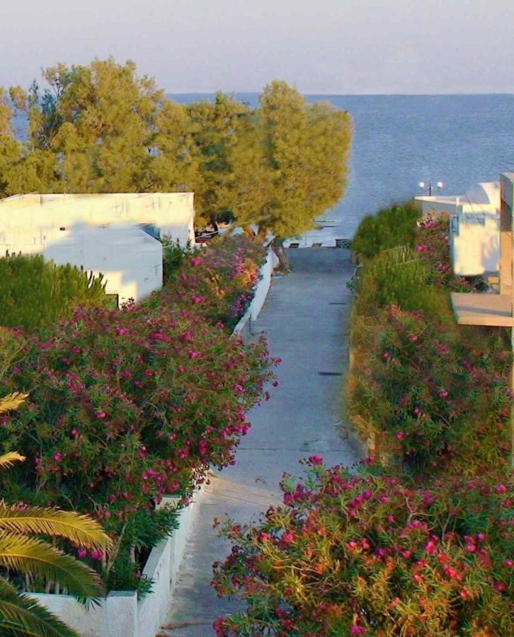 Located By The Sea One Beachfront Private Captain Lazaros Pool Villa With Loft In 750Sqm Spacious Private Plot-Jacuzzi-Sunrelax-Furnished Terace-Gazebo-Private Parking,Sleep 3 Adults And 2 Children, Just Steps From The Black Beach-Seaview Perissa  Luaran gambar